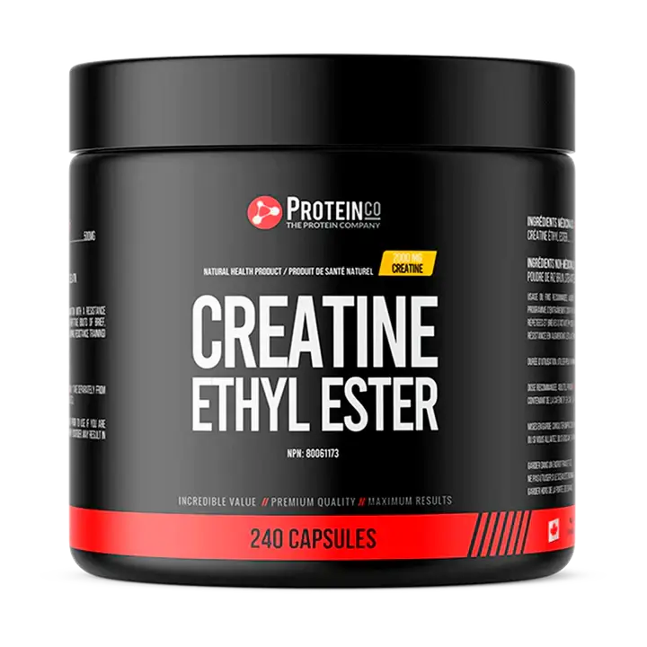 PROTEIN CO CRÉATINE ETHYL ESTER 500MG (240 caps)